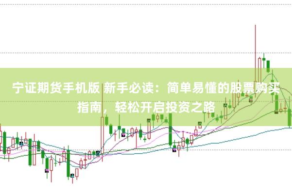 宁证期货手机版 新手必读：简单易懂的股票购买指南，轻松开启投资之路