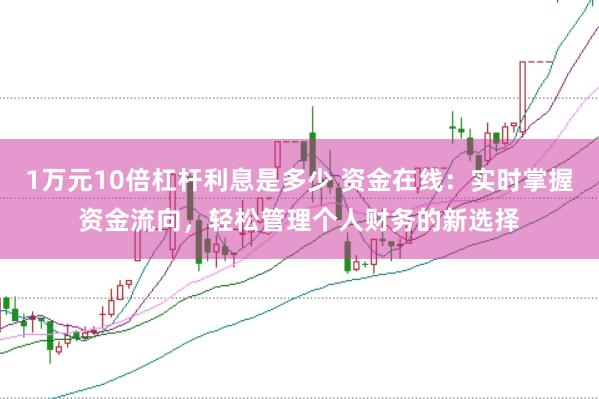 1万元10倍杠杆利息是多少 资金在线：实时掌握资金流向，轻松管理个人财务的新选择