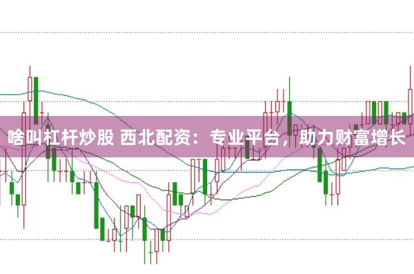啥叫杠杆炒股 西北配资：专业平台，助力财富增长