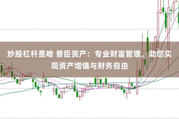 炒股杠杆是啥 普臣资产：专业财富管理，助您实现资产增值与财务自由