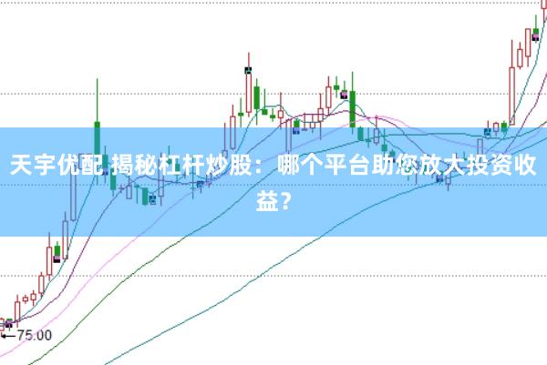 天宇优配 揭秘杠杆炒股：哪个平台助您放大投资收益？