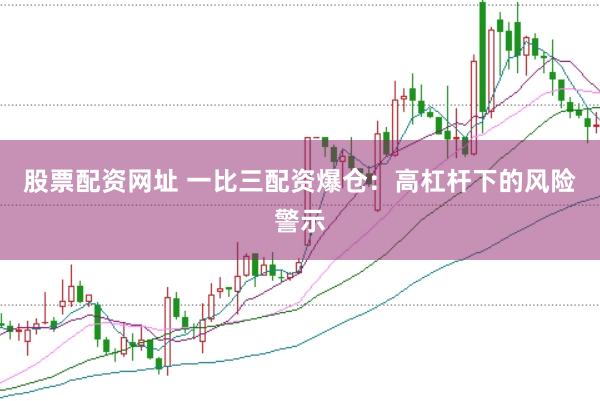 股票配资网址 一比三配资爆仓：高杠杆下的风险警示
