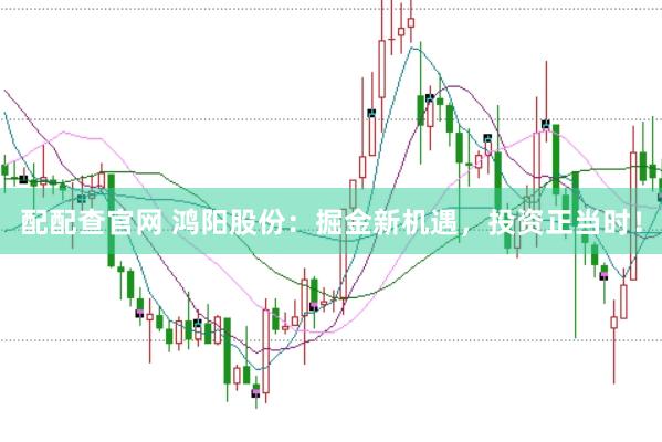 配配查官网 鸿阳股份：掘金新机遇，投资正当时！