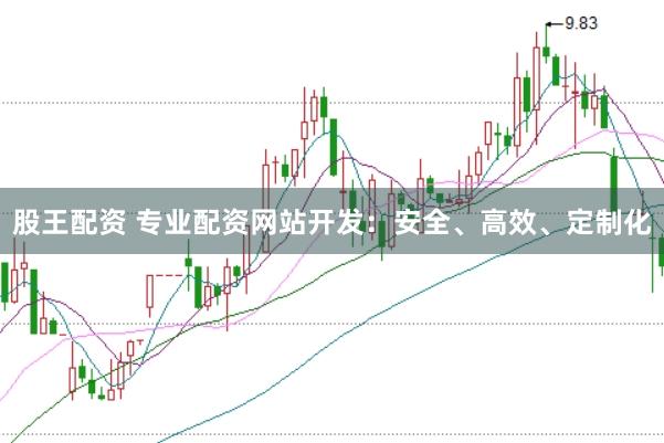 股王配资 专业配资网站开发：安全、高效、定制化