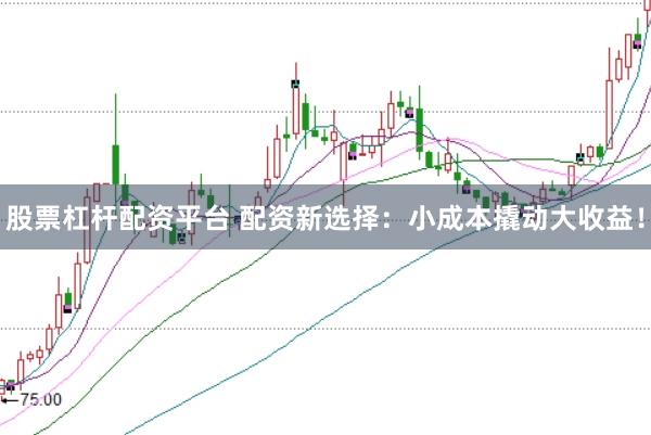 股票杠杆配资平台 配资新选择：小成本撬动大收益！