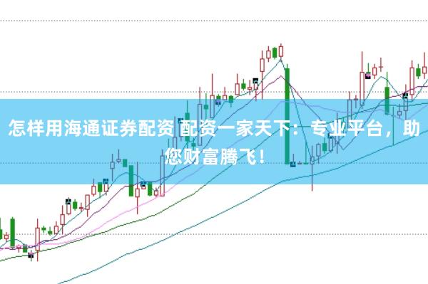 怎样用海通证券配资 配资一家天下：专业平台，助您财富腾飞！