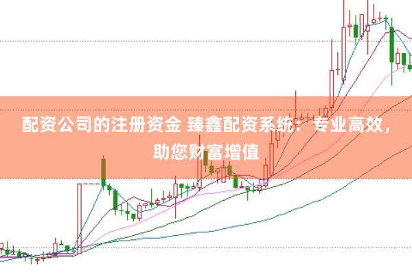 配资公司的注册资金 臻鑫配资系统：专业高效，助您财富增值