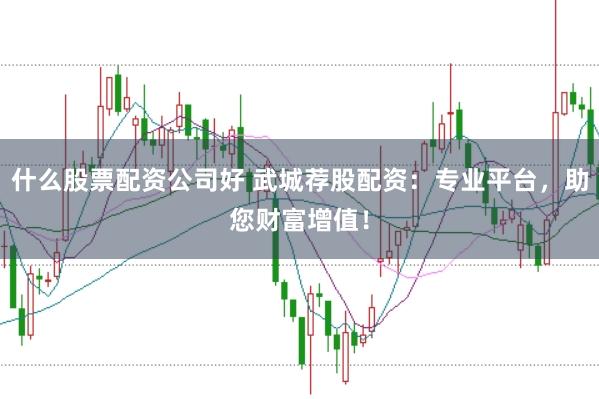 什么股票配资公司好 武城荐股配资：专业平台，助您财富增值！