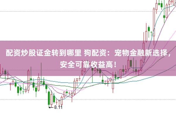 配资炒股证金转到哪里 狗配资：宠物金融新选择，安全可靠收益高！