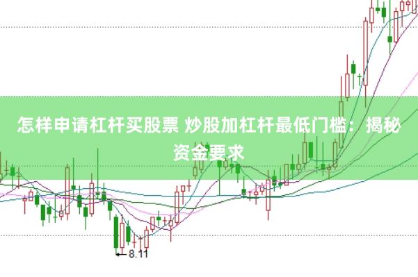 怎样申请杠杆买股票 炒股加杠杆最低门槛：揭秘资金要求
