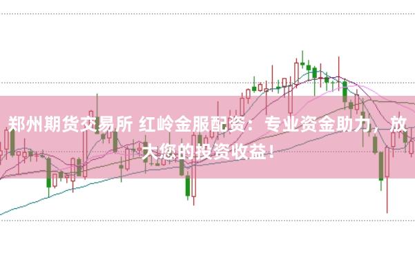 郑州期货交易所 红岭金服配资：专业资金助力，放大您的投资收益！