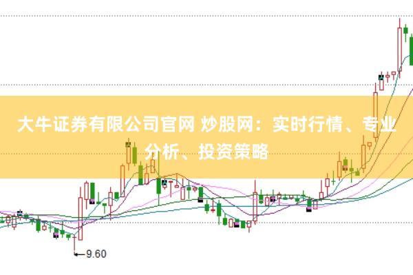 大牛证券有限公司官网 炒股网：实时行情、专业分析、投资策略