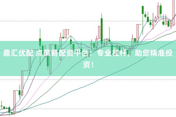 嘉汇优配 点策略配资平台：专业杠杆，助您精准投资！