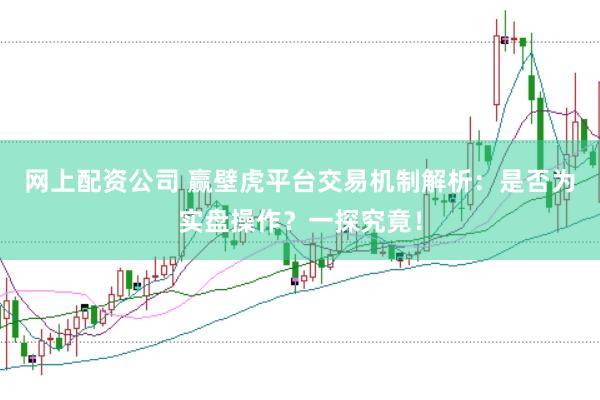 网上配资公司 赢壁虎平台交易机制解析：是否为实盘操作？一探究竟！