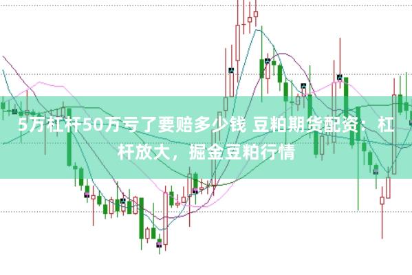 5万杠杆50万亏了要赔多少钱 豆粕期货配资:杠杆放大,掘金豆粕行情