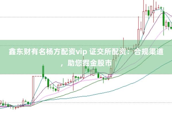 鑫东财有名杨方配资vip 证交所配资:合规渠道,助您掘金股市