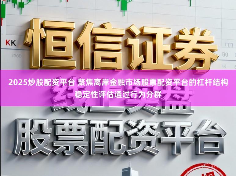 2025炒股配资平台 聚焦离岸金融市场股票配资平台的杠杆结构稳定性评估通过行为分群