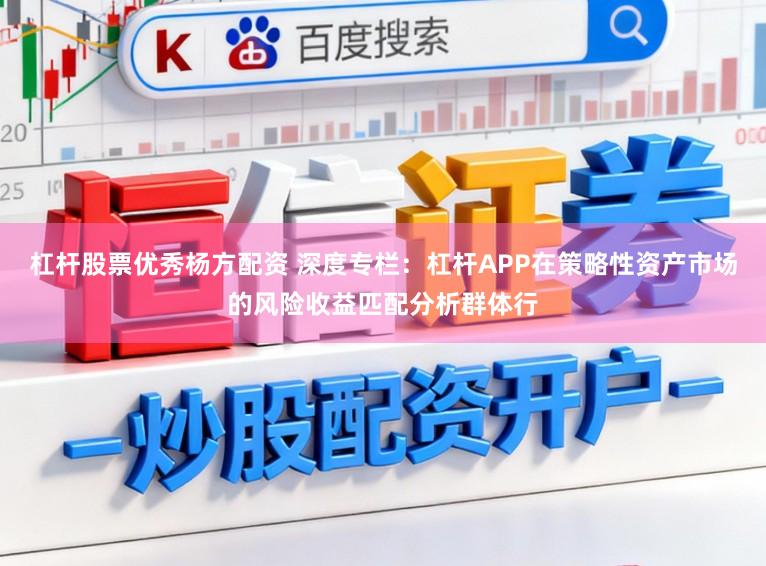 杠杆股票优秀杨方配资 深度专栏：杠杆APP在策略性资产市场的风险收益匹配分析群体行