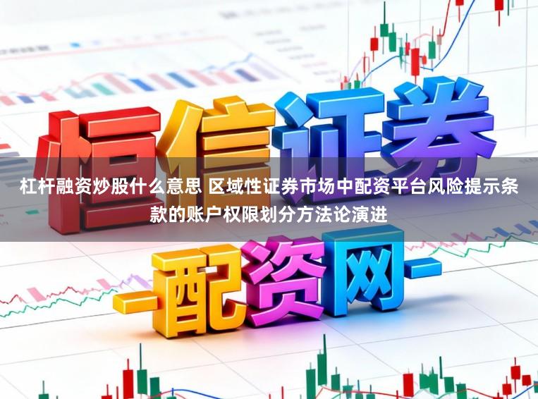 杠杆融资炒股什么意思 区域性证券市场中配资平台风险提示条款的账户权限划分方法论演进