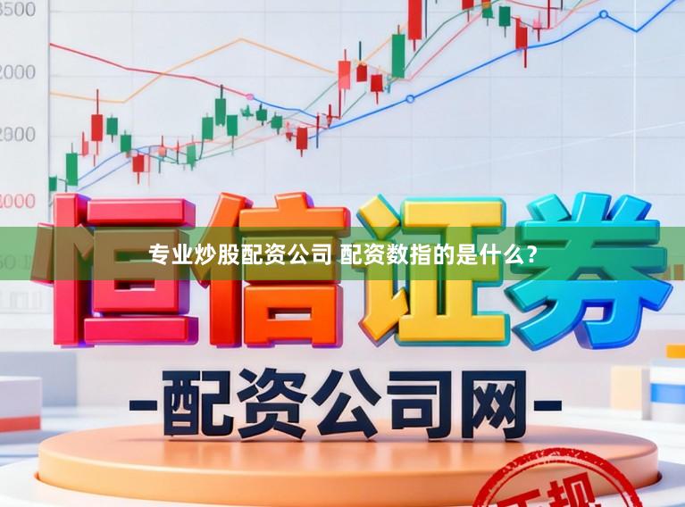 专业炒股配资公司 配资数指的是什么？